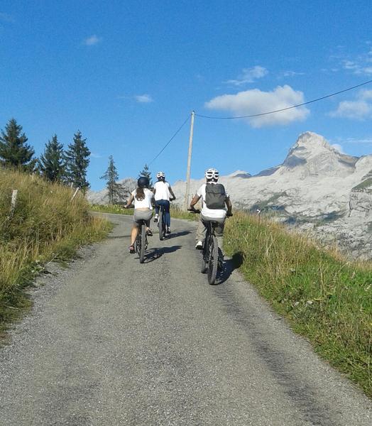 VTT électrique au Grand-Bornand