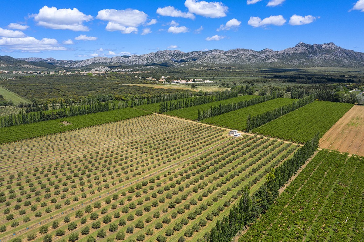 Maricera, Aureille - photo 10