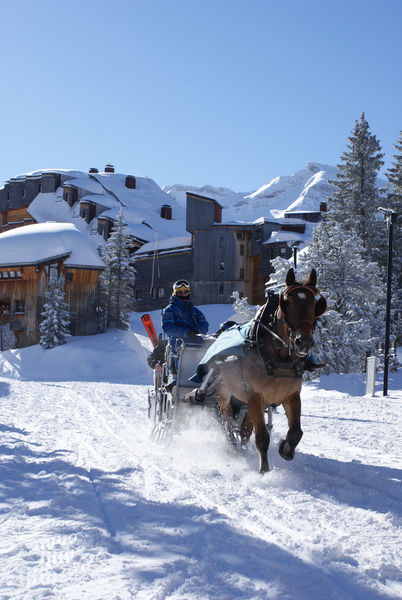 Balade en traineaux
