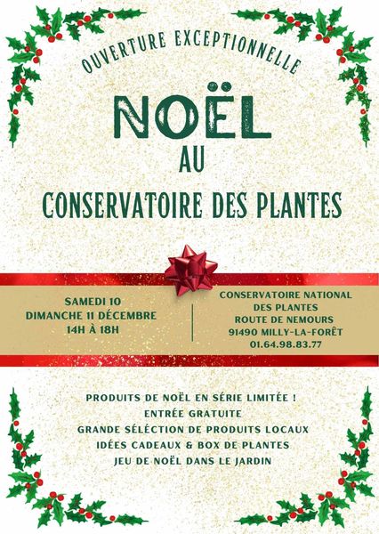 Noël au Conservatoire des Plantes