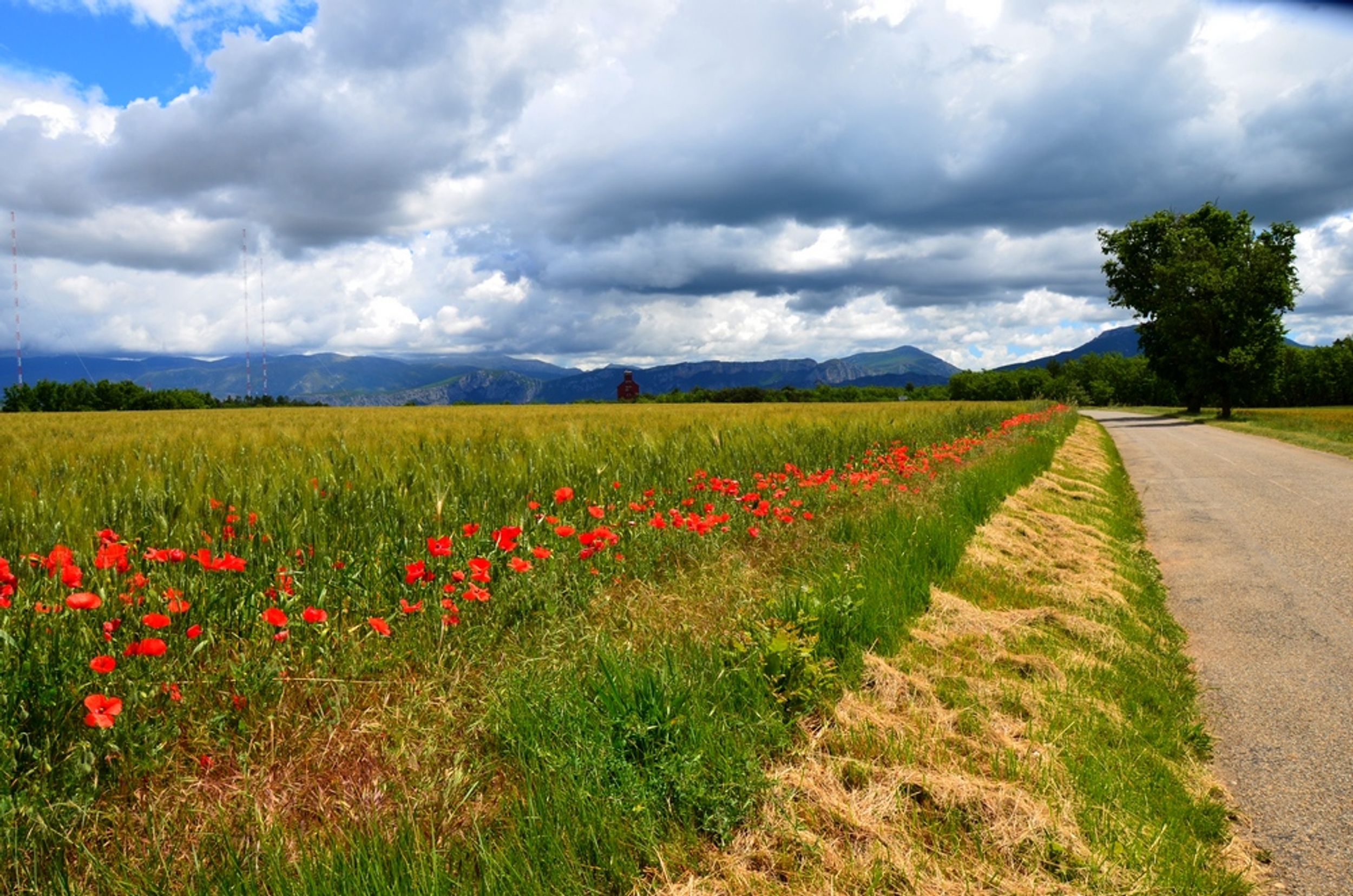 Paysages à Montagnac