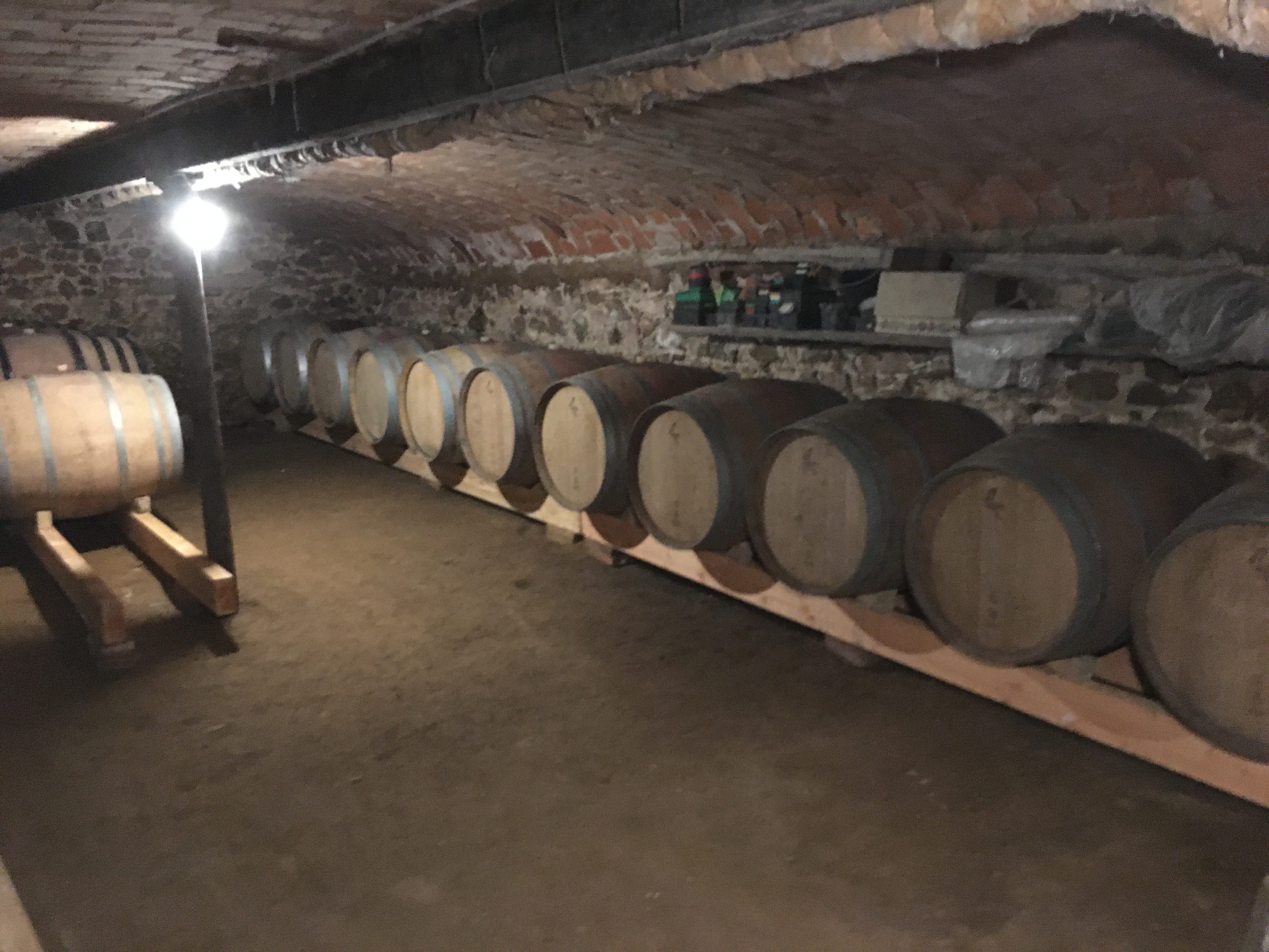La cave, élevage de la majorité vins