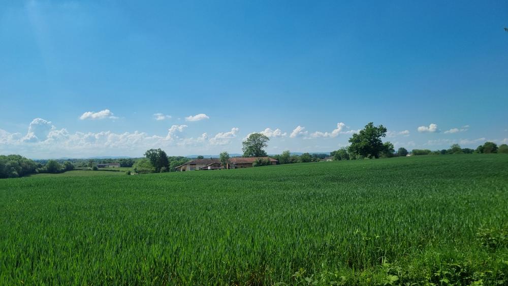 Circuit VTT n°24 (rouge) - La St Martin_Montrevel-en-Bresse