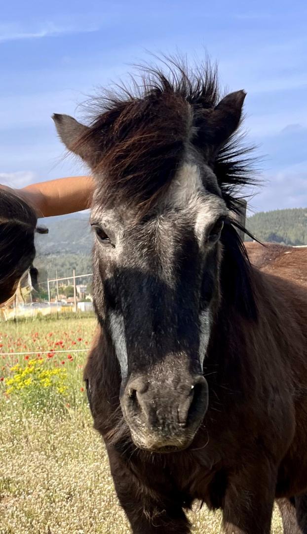 Gîte Port Pin, Cuges-les-Pins - photo 19