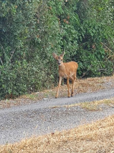 De temps en temps, ils se montrent...