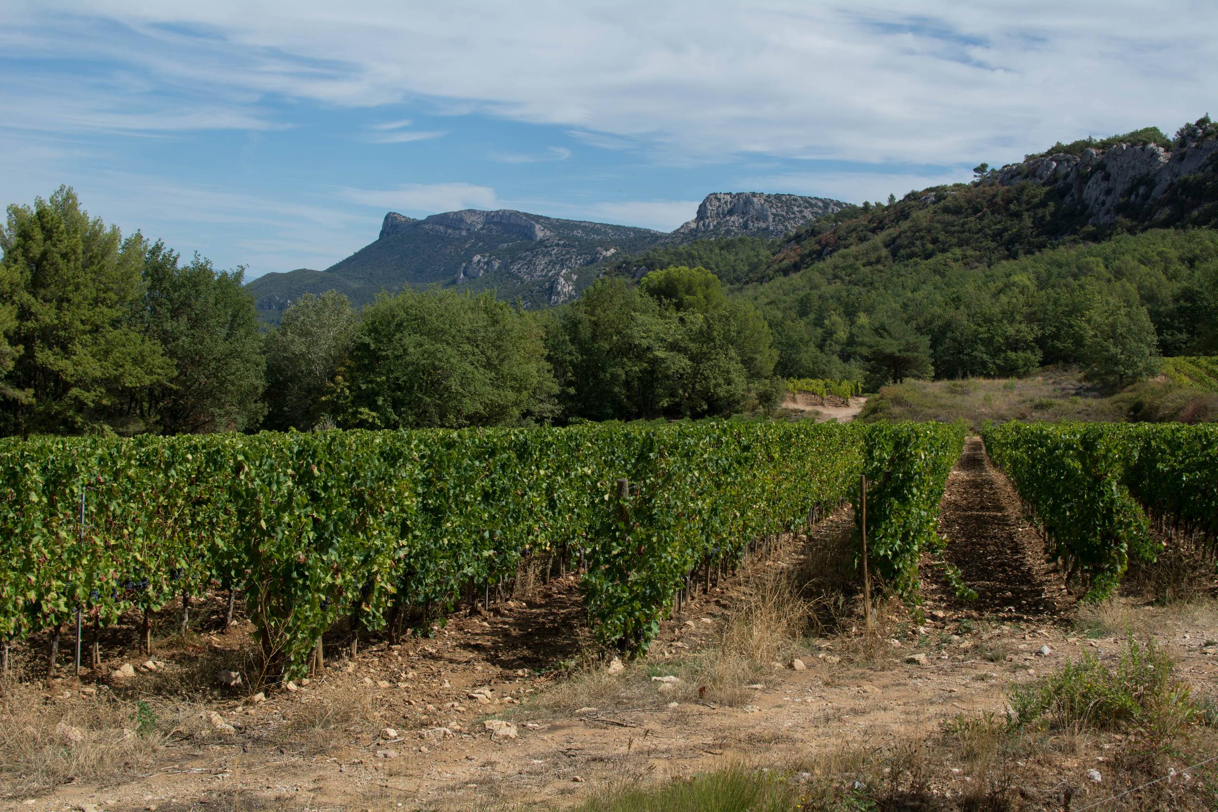 TRETS - L'Ermitage Saint-Jean-du-Puy — photo 3