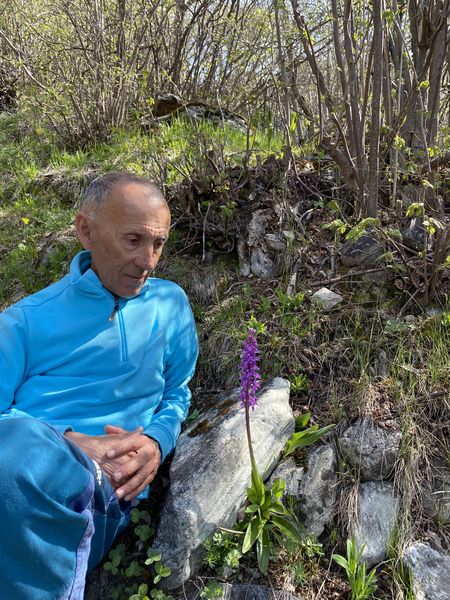 Randonnée à la découverte des plantes avec Thierry Bardagi