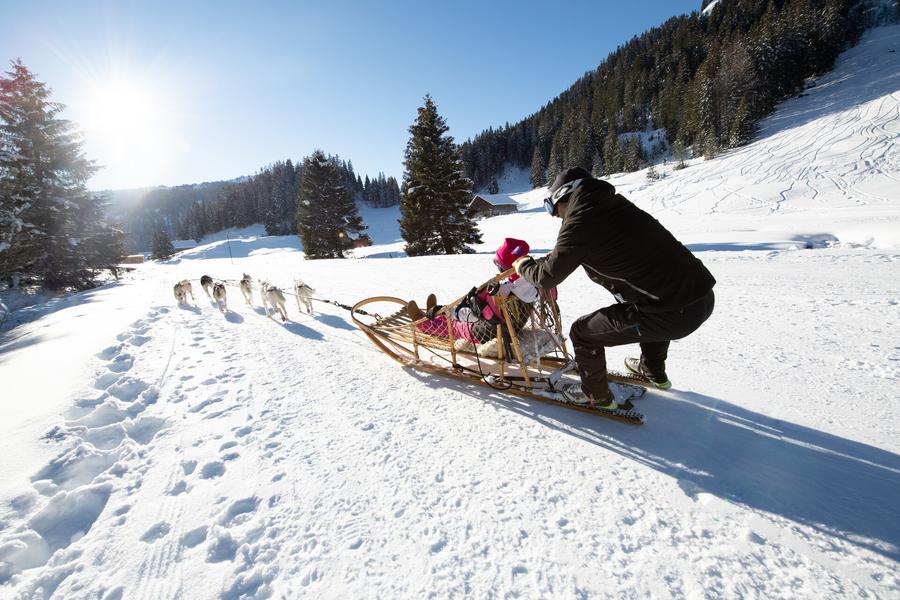 Parapente & Chiens de traîneau/Cani-Kart_Champéry