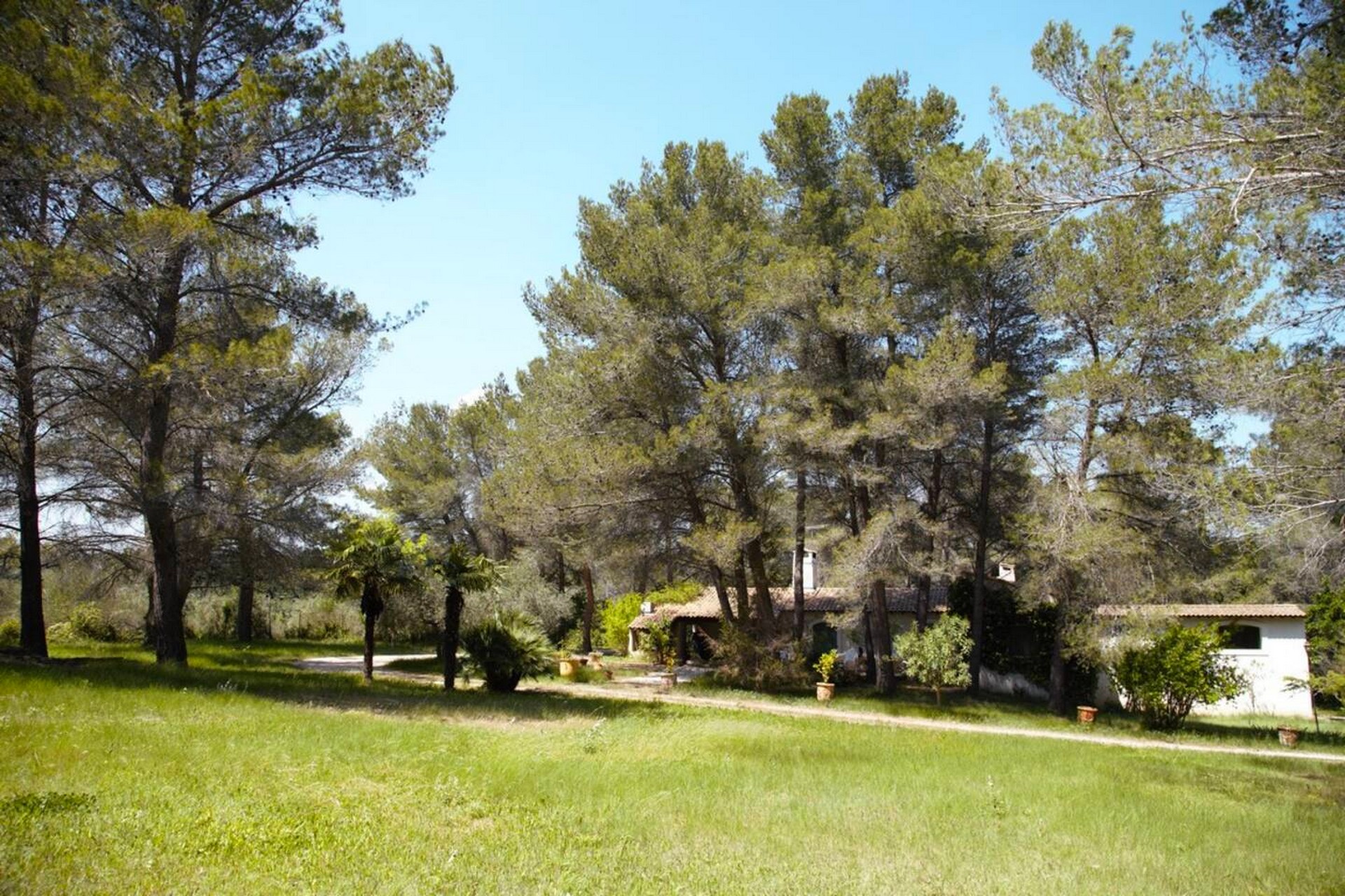 Mas Frederi — photo 2