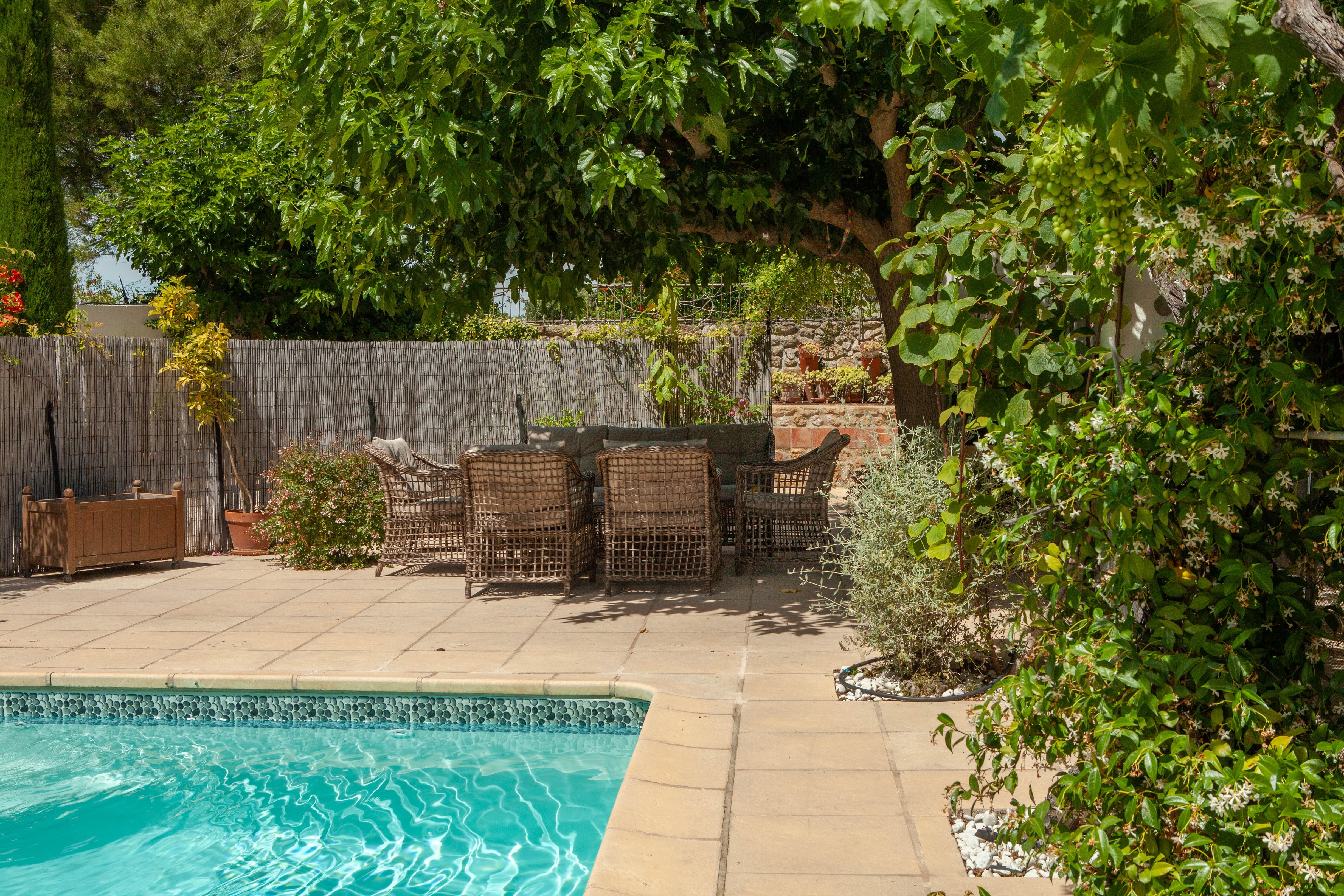 Coquette Maison en Provence, Salon-de-Provence - photo 9