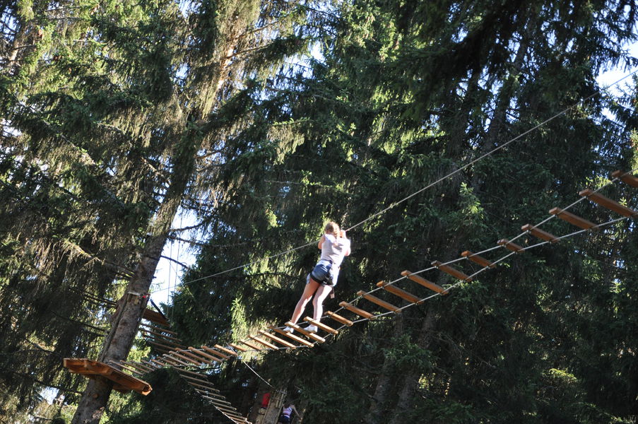 Pont de singe Les Carroz
