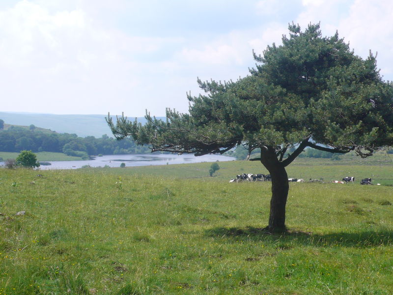 Le tour du Lac Sauvages
