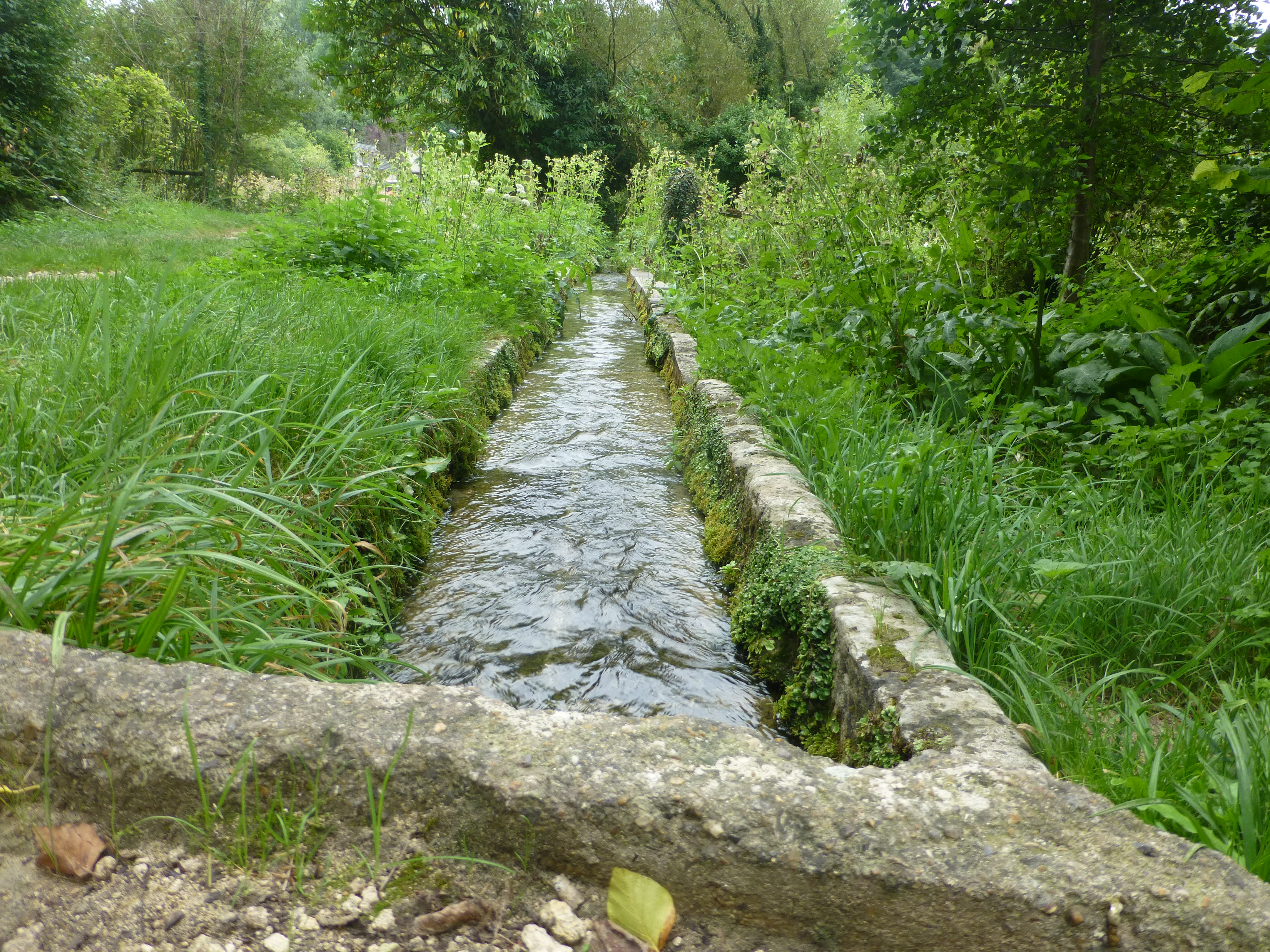 Vexin minéral et botanique aux sources de l’Aubette