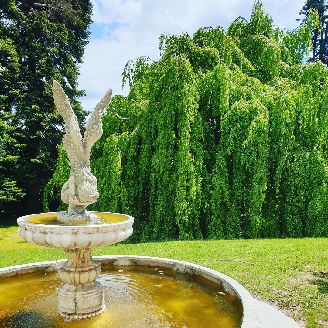 Visite du Parc du Château de Chazelles