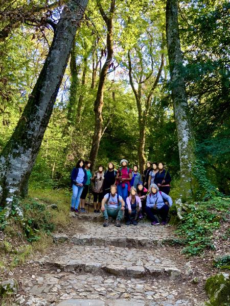 GROUPE ENTREPRISE BAIN DE FORET