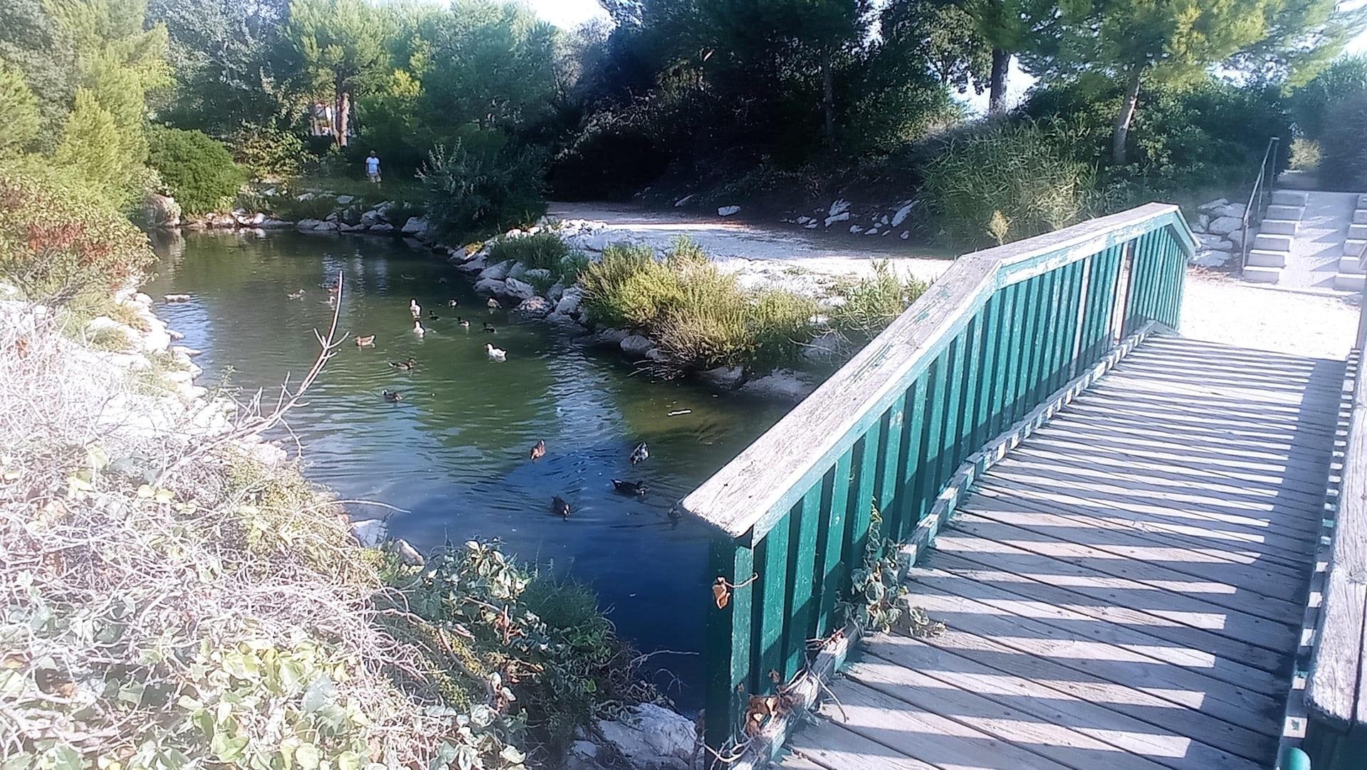 Parc de La Rode — photo 2