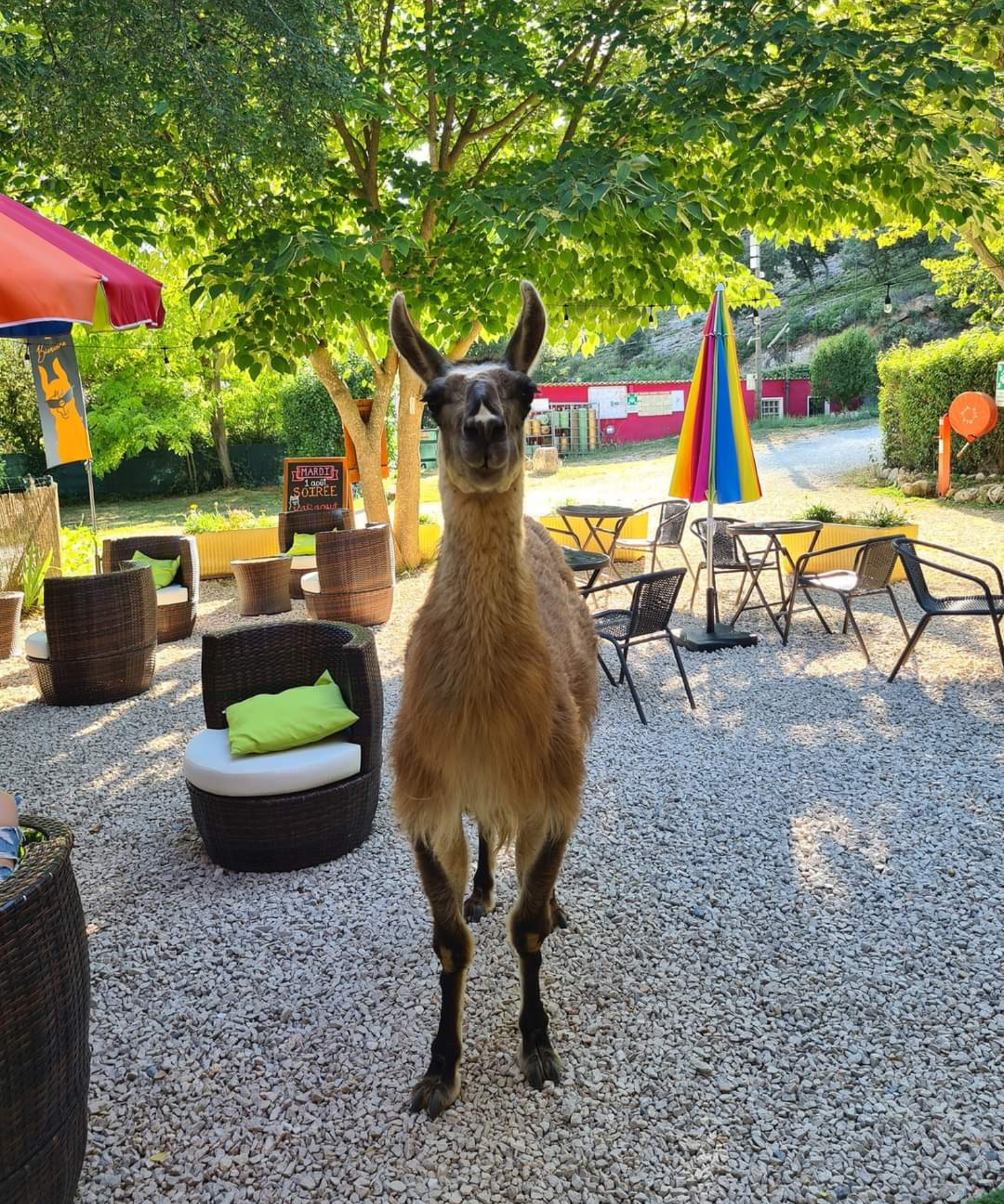 Camping La Gantesse - photo 5