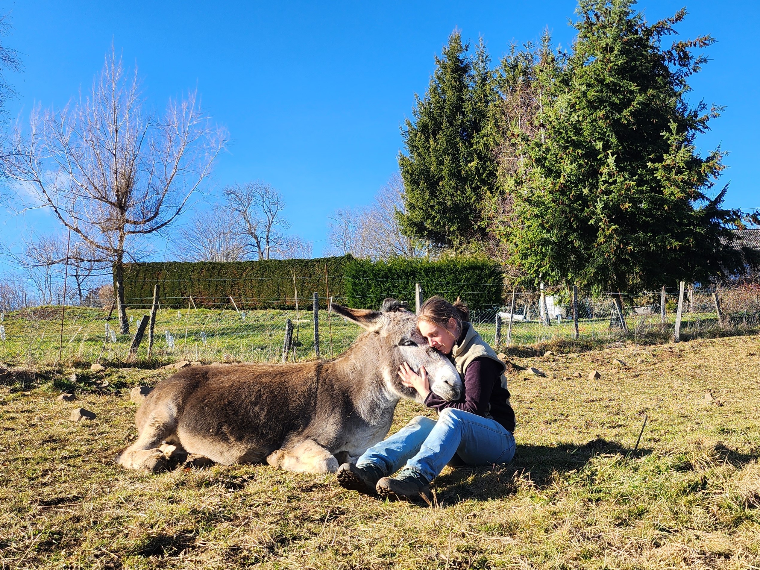 Immersion in a herd of donkeys: summer escapes