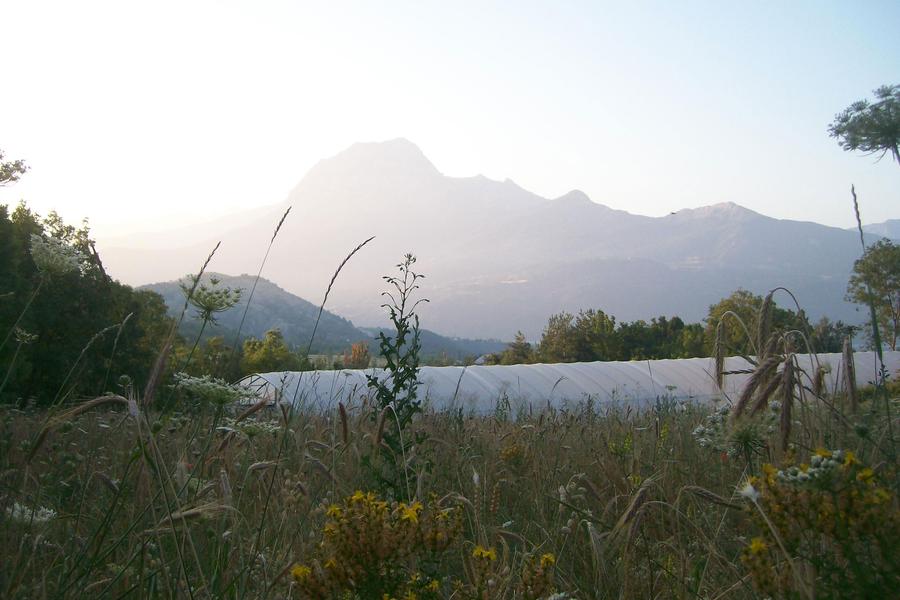 Jardin Essen'Ciel - © Jardin Essen'Ciel