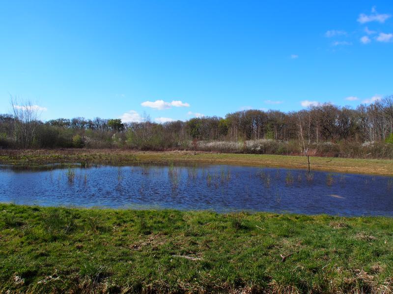 Bois de Saint Eutrope_Fleury-Mérogis