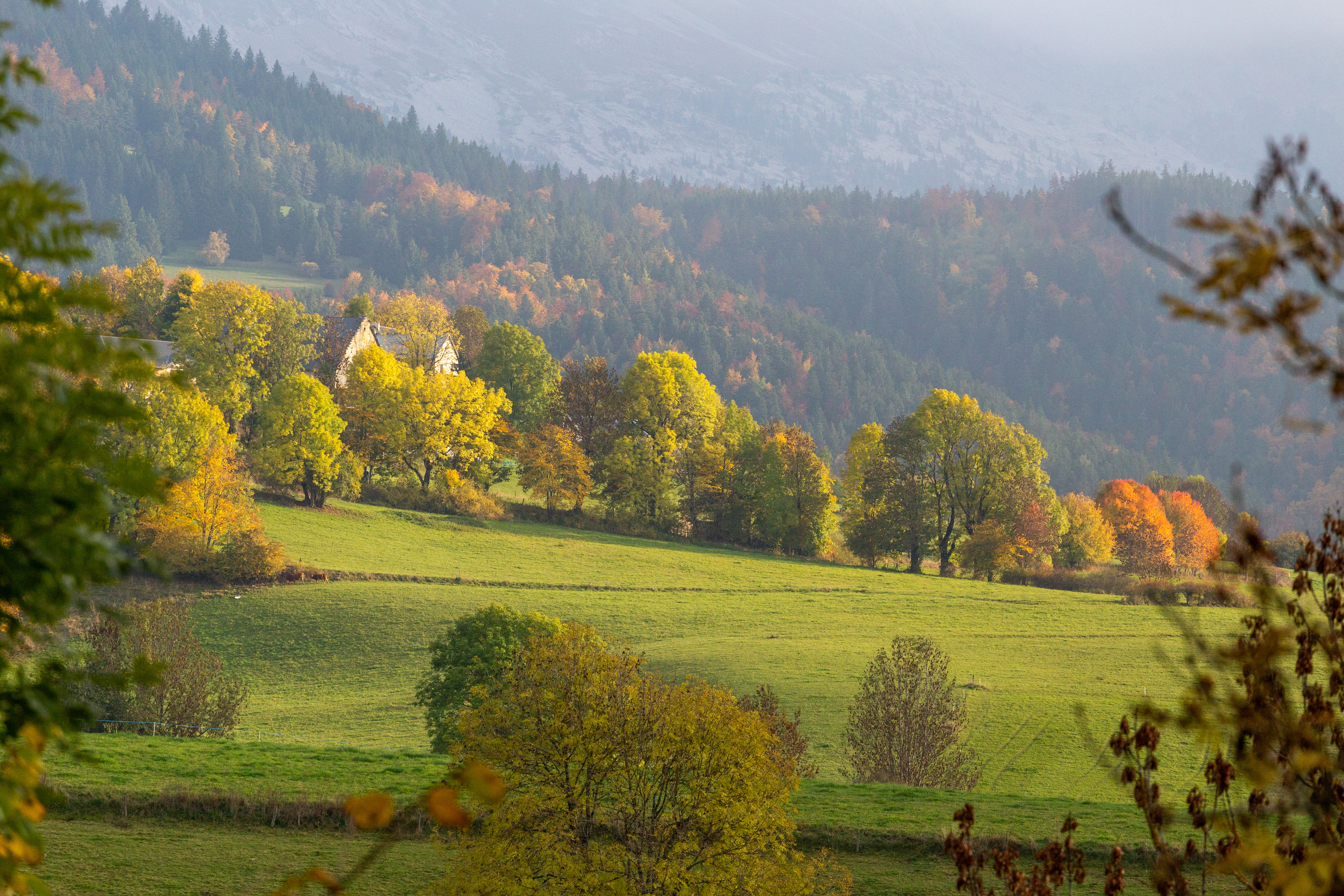 photosFeed-https://static.apidae-tourisme.com/filestore/objets-touristiques/images/45/20/43258925.jpg