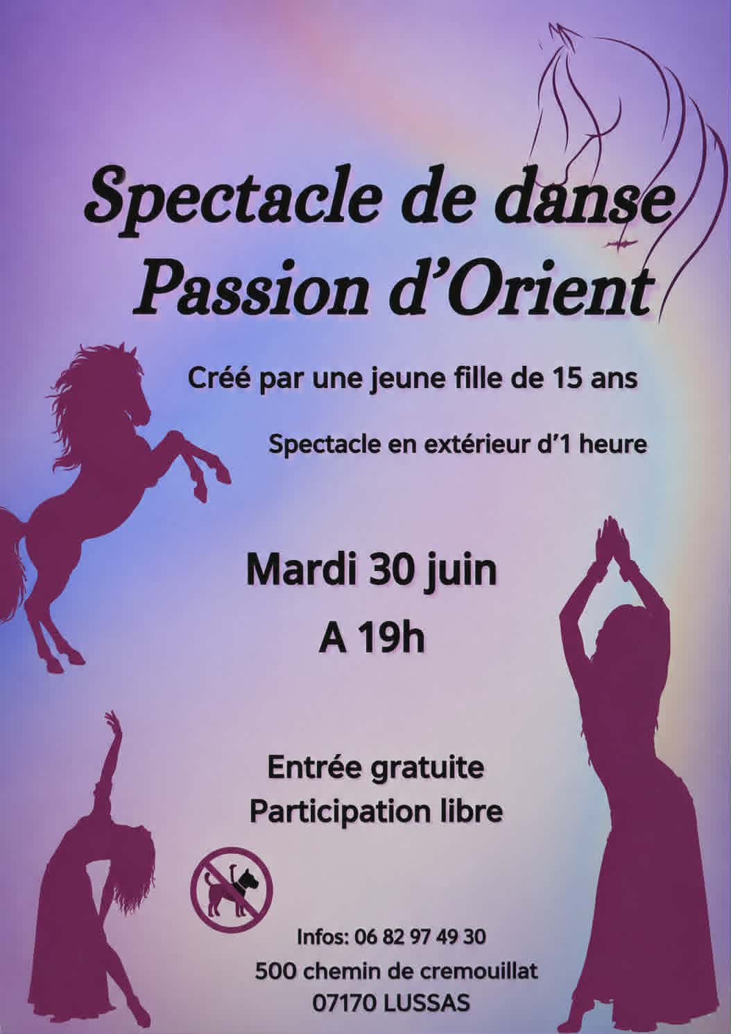 Spectacle de danse Passion d'Orient