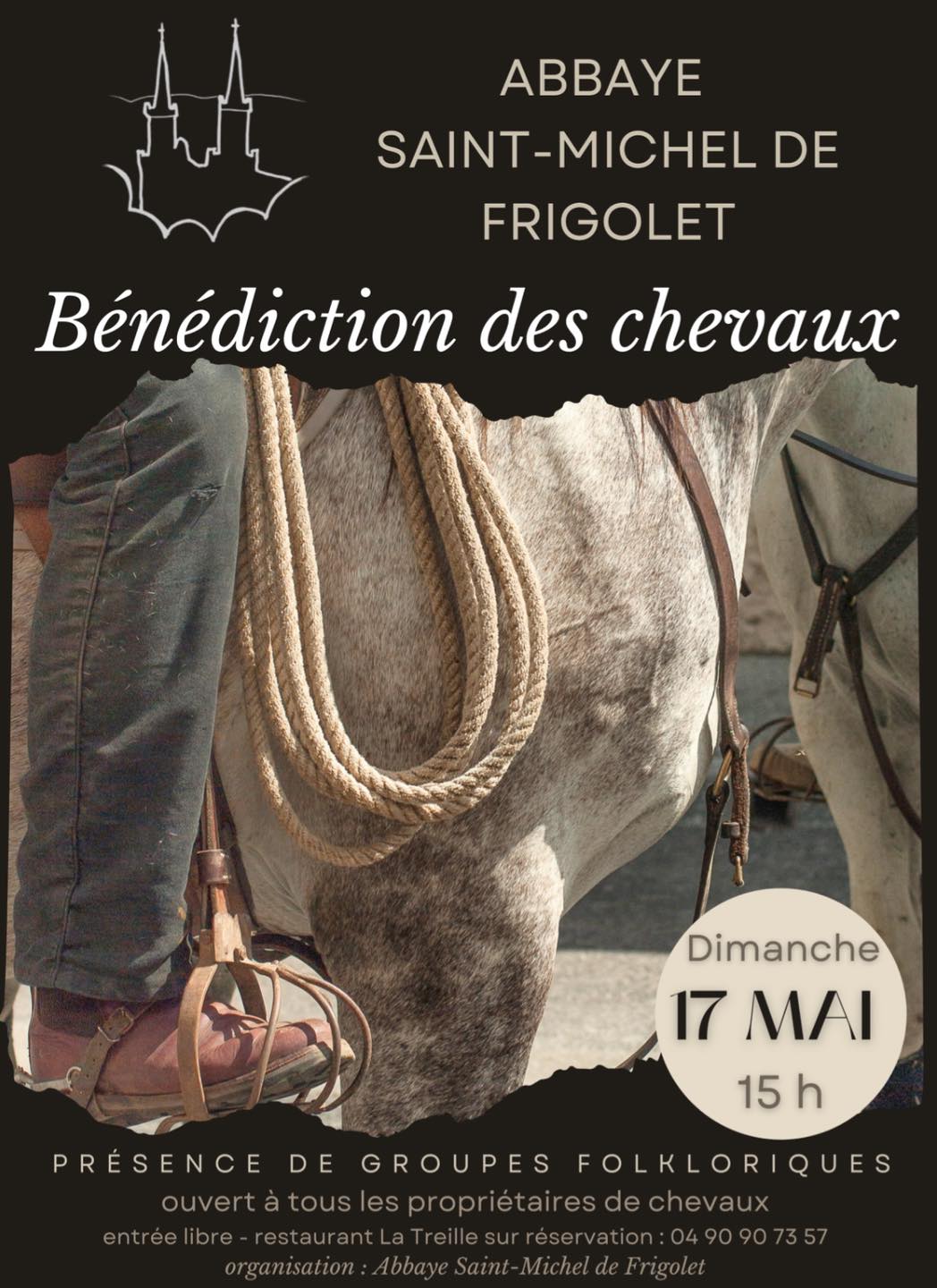 Fête du Cheval, Boulbon - photo 3