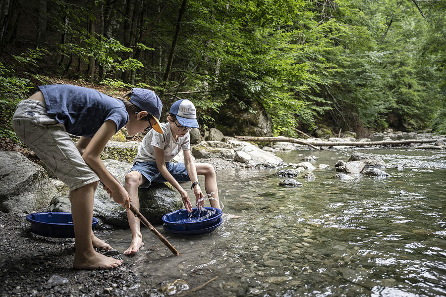 Les chercheurs d'or3
