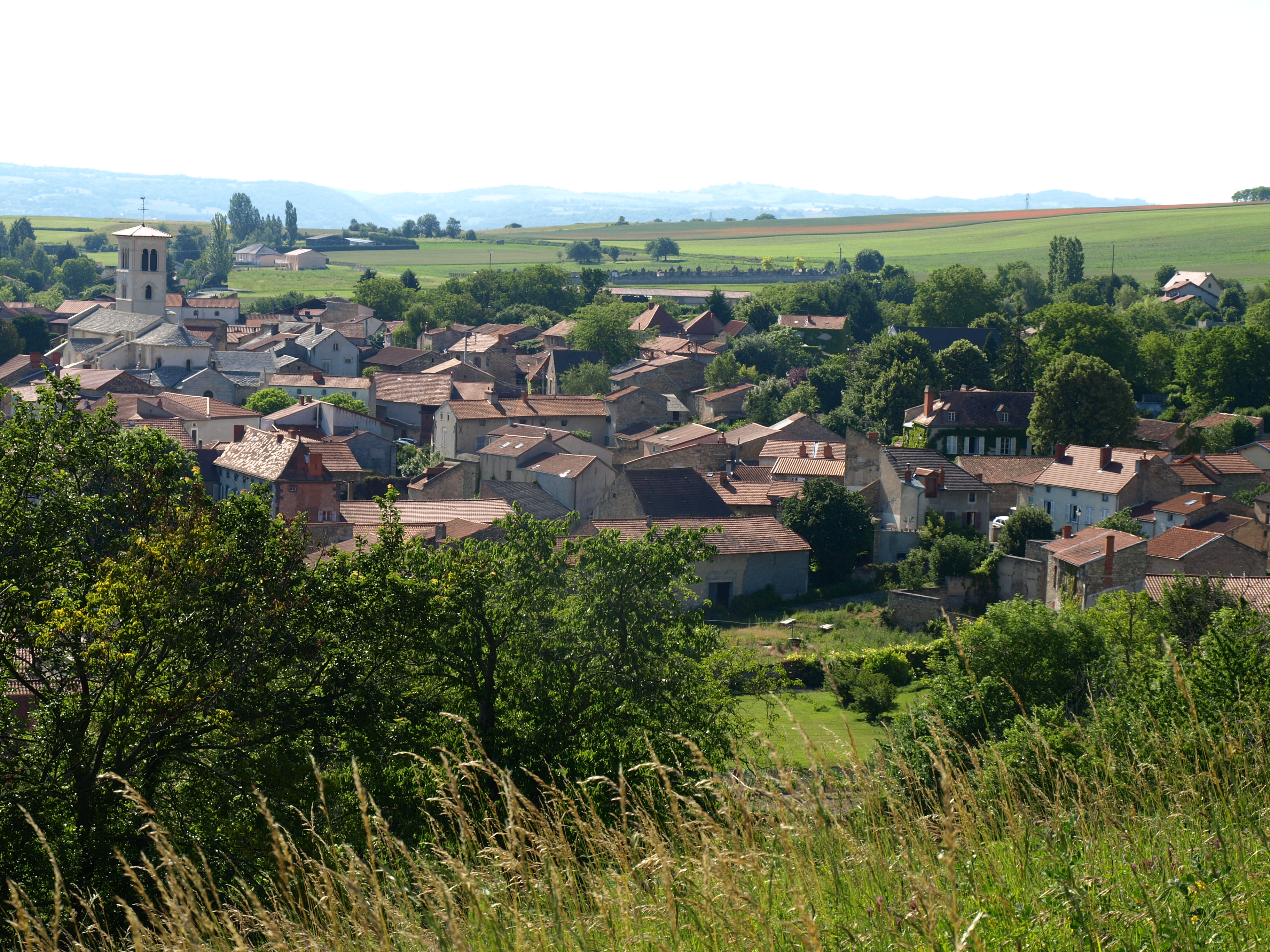Randonnée à la découverte d'Artonne et sa nature