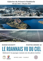 Le Roannais vue du Ciel_Ambierle