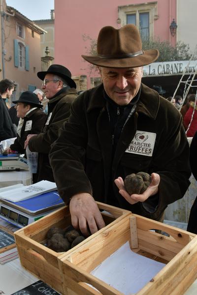 Dominique FAUCON
