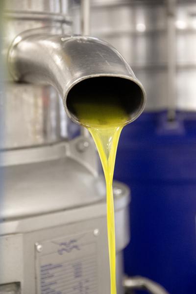 Moulin à Huile & Domaine Bastide du Laval_Cadenet