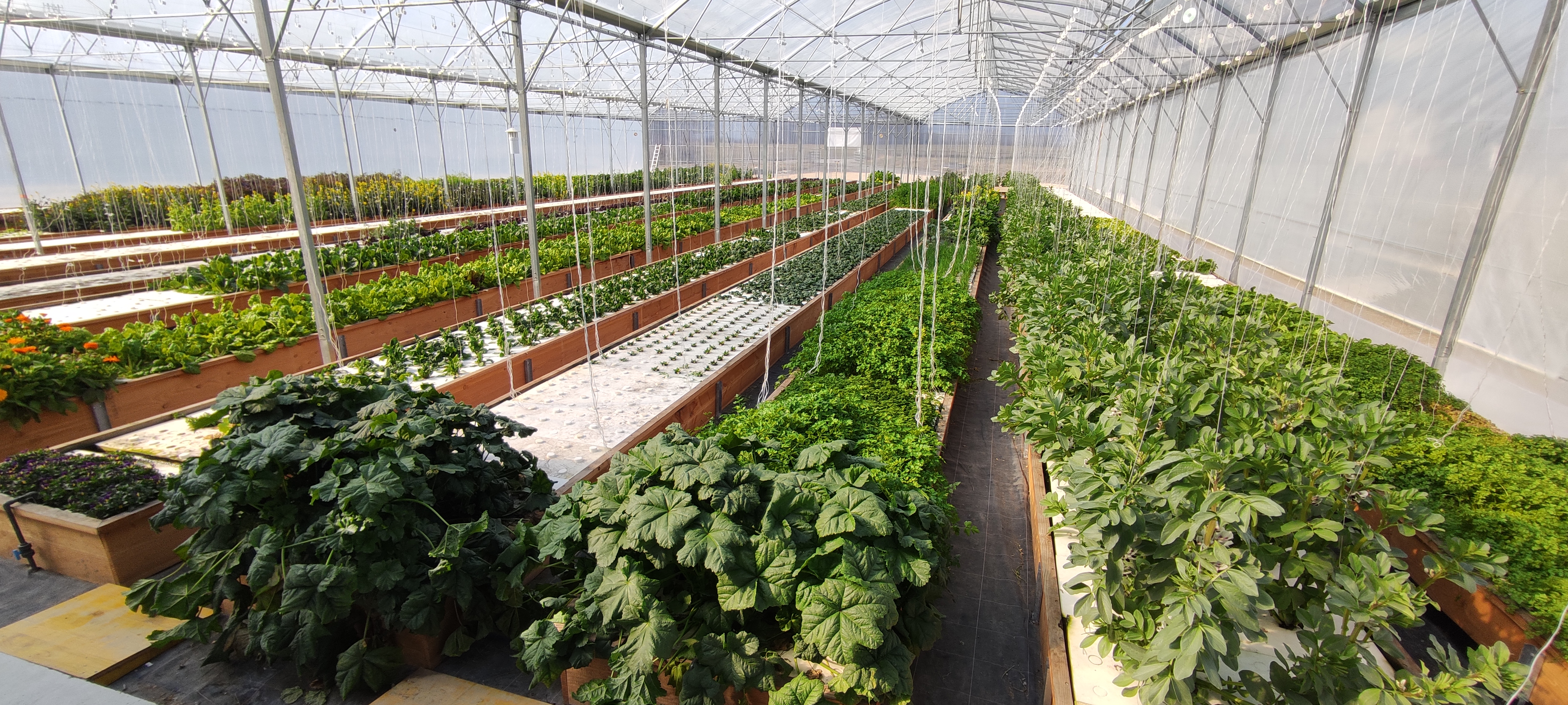 Ferme aquaponique du Pays de Gex
