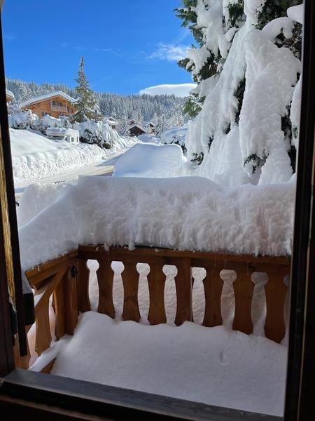 View from kitchen