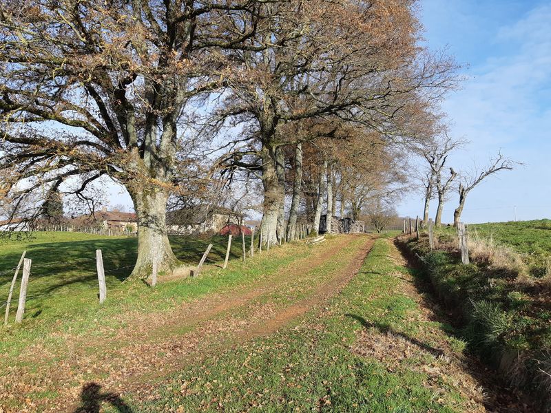 Balade autour de Vescours