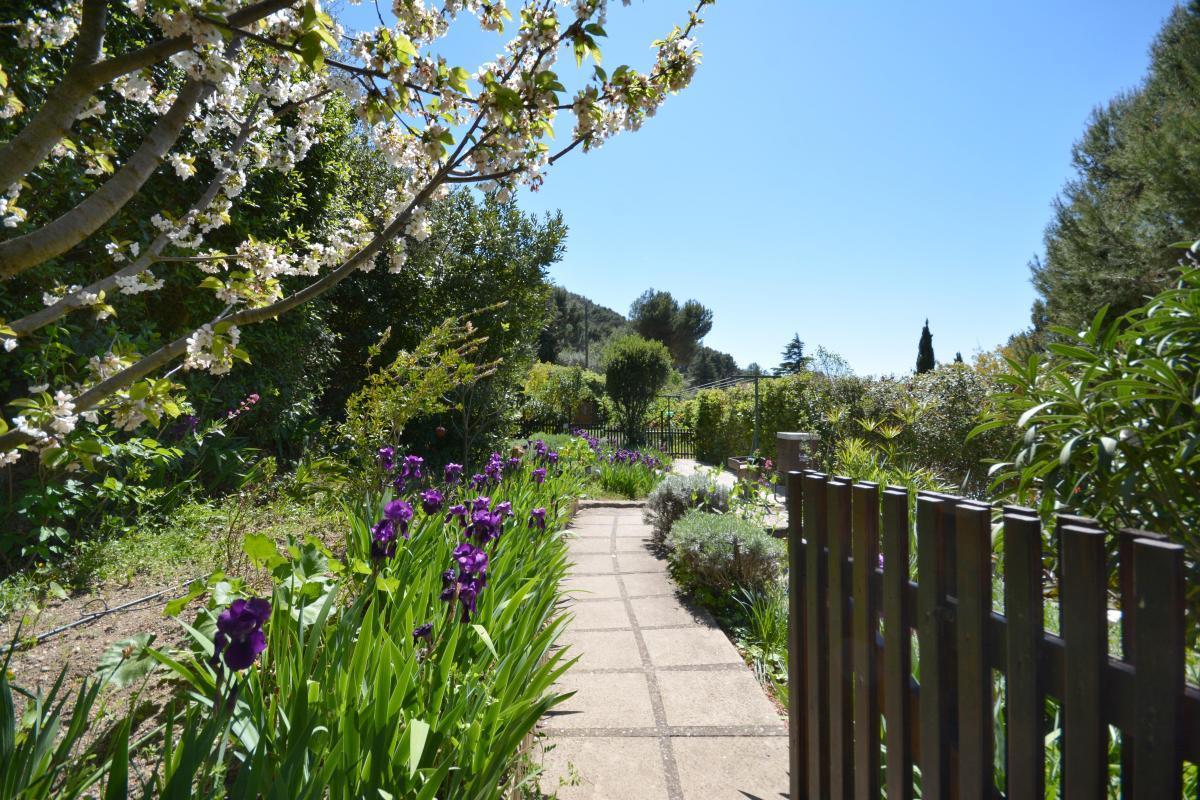 Les Cigales, Ceyreste - photo 8