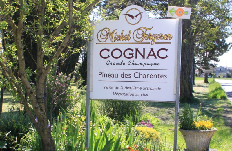 Visite Cognac Michel Forgeron Du 1 janv au 31 déc 2025