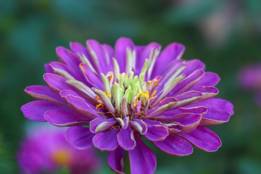 Chatillon sur Chalaronne