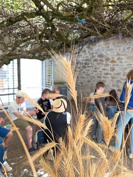 Atelier tressage de paille