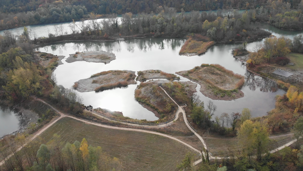 Etangs et marais de l'Etournel