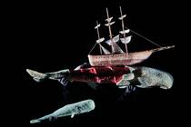 Spectacle de théâtre marionnettes, musique / MC2 de Grenoble_Saint-Étienne-de-S…