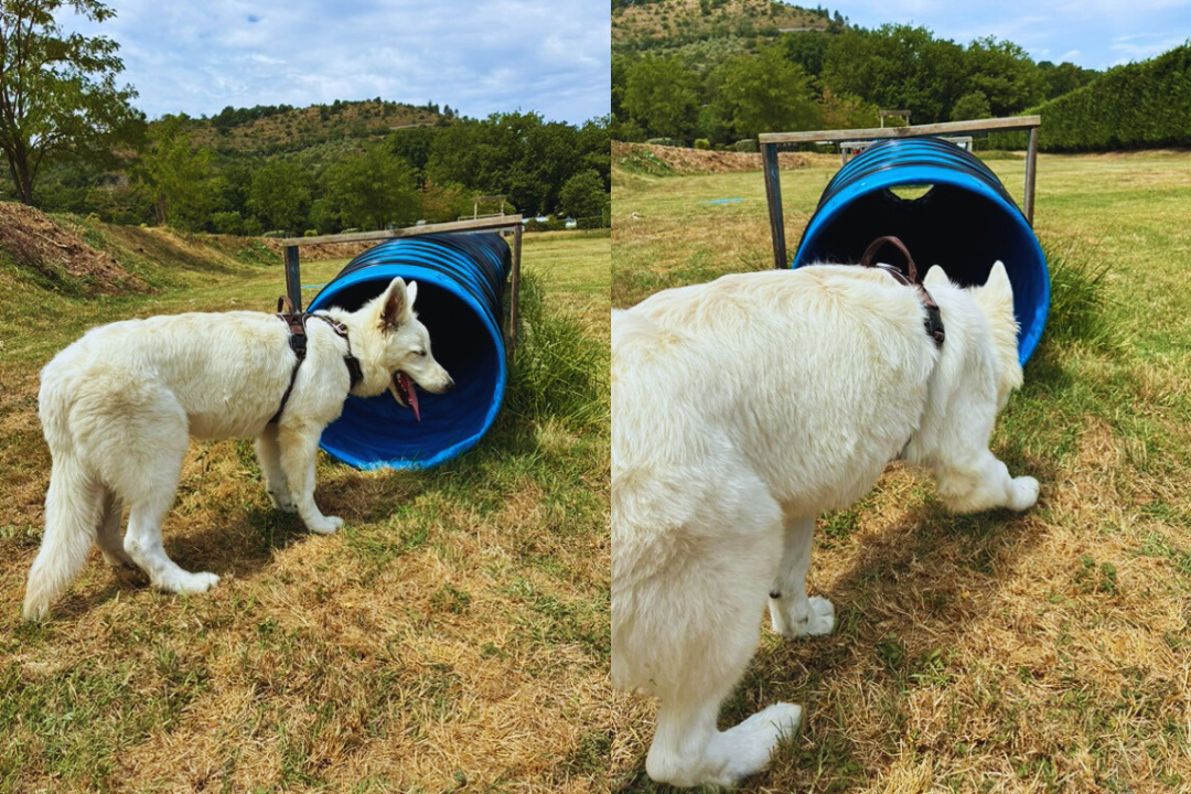 Design sans titre(50)