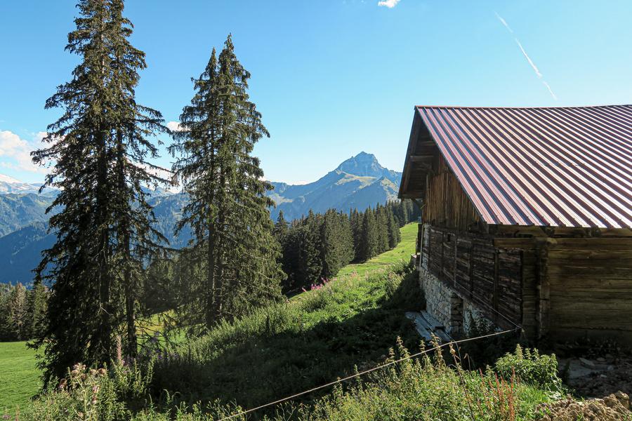 Randonnée pédestre : Col et lac d'Arvouin_La Chapelle-d'Abondance
