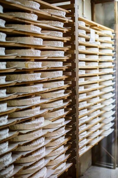 Cave d'affinage Fromagerie Ganot