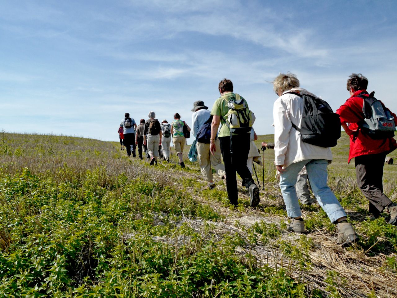 Marche nordique autour de Jonzac
