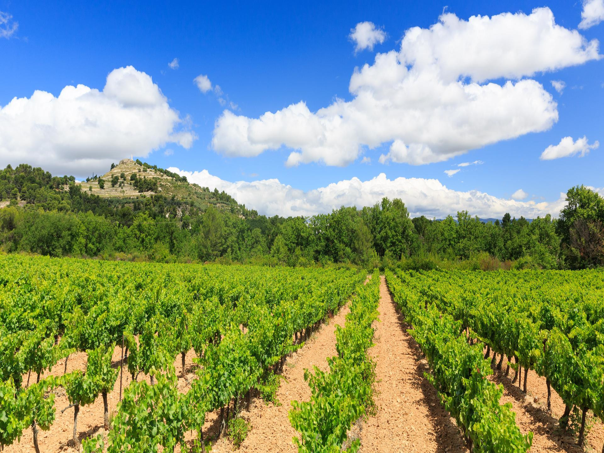 Domaine les Bastides - photo 2