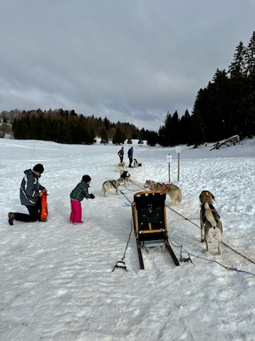 Bapt�me en tra�neau � chiens avec Symbiose chien polaire