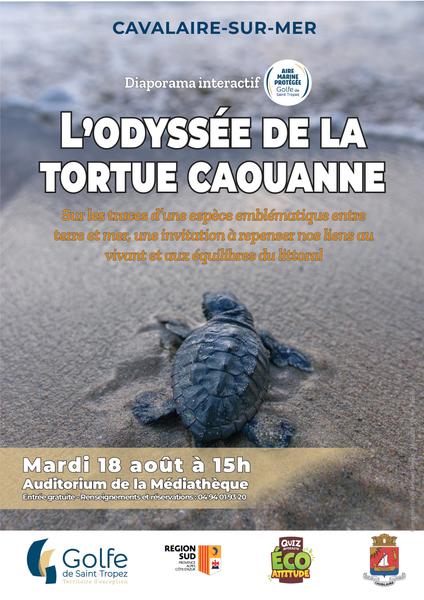 Diaporama interactif : l'Odyssée de la tortue caouanne_Cavalaire-sur-Mer