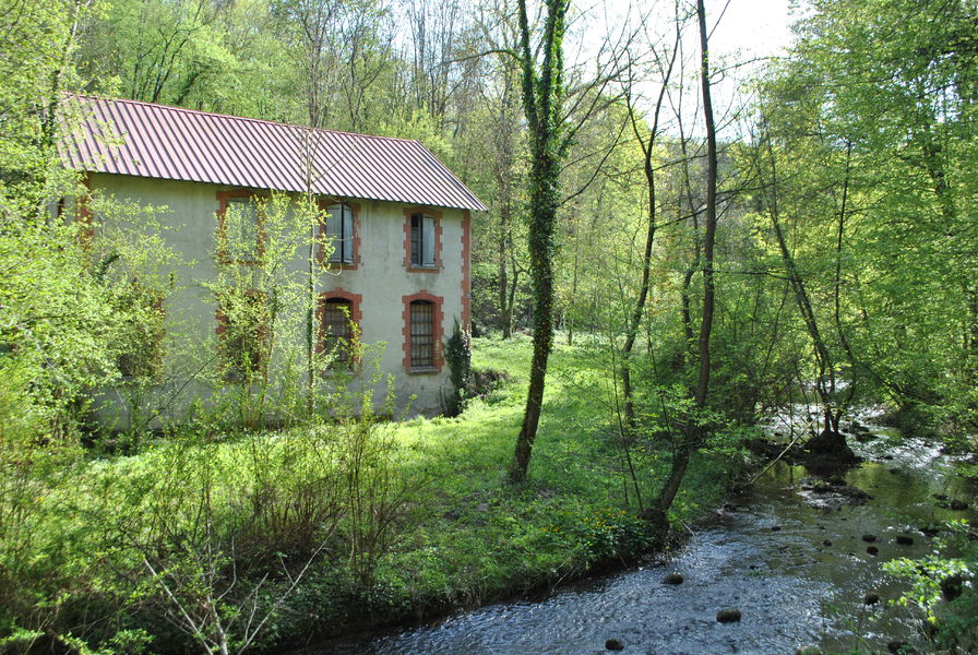 Circuit pédestre : La Vallée de la Fure, La Poype