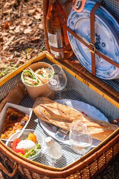 Balade dans le vignoble de Châteauneuf-du-Pape_Courthézon